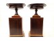 cassolettes pair Charles X rosewood lemon cut flowers bird nineteenth