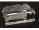 Paperweight crystal statuette bull Lalique France XXth century