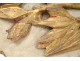 decorative element gilded wood polychrome eighteenth century vegetable garlands