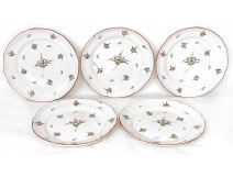 Five plates Islettes faience flowers nineteenth century parrot beak