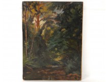 HSP landscape forest trees Victor Dupont twentieth century greenery