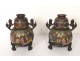 pair china vase