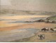 Watercolor landscape painting herd of cows on the beach, E.Doigneau, 20