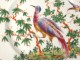 English porcelain plate Chelsea-Derby bird trees nineteenth century
