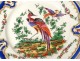 English porcelain plate Chelsea-Derby birds insects nineteenth garlands