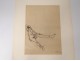 Drawings Pascin study erotic naked men shop twentieth century stamp