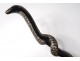 old wooden cane blackened pearl cobra cobra snake cane ancient XIX