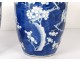 Pair vases Chinese porcelain flowers prunus Kangxi Yongzheng China XVIIIth
