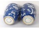Pair vases Chinese porcelain flowers prunus Kangxi Yongzheng China XVIIIth