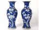 Pair small vases balusters porcelain China prunus Kangxi Yongzheng 18th