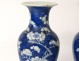 Pair small vases balusters porcelain China prunus Kangxi Yongzheng 18th
