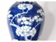Pair small vases balusters porcelain China prunus Kangxi Yongzheng 18th