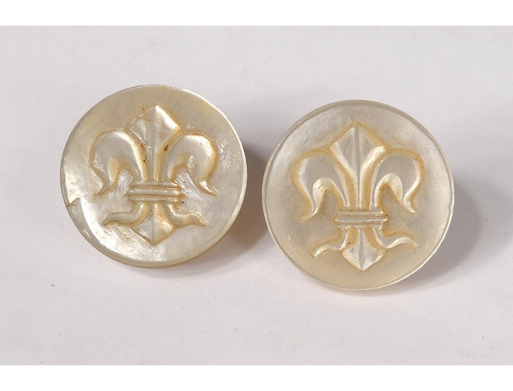 Art nouveau Collection Joli bouton ancien en métal à décor de fleurs de Lys Art nouveau Collection Joli bouton ancien en métal à décor de fleurs de Lys