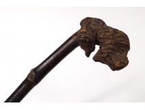 Old cane wooden head carved heads monkeys woody thorny cane XIXth c.