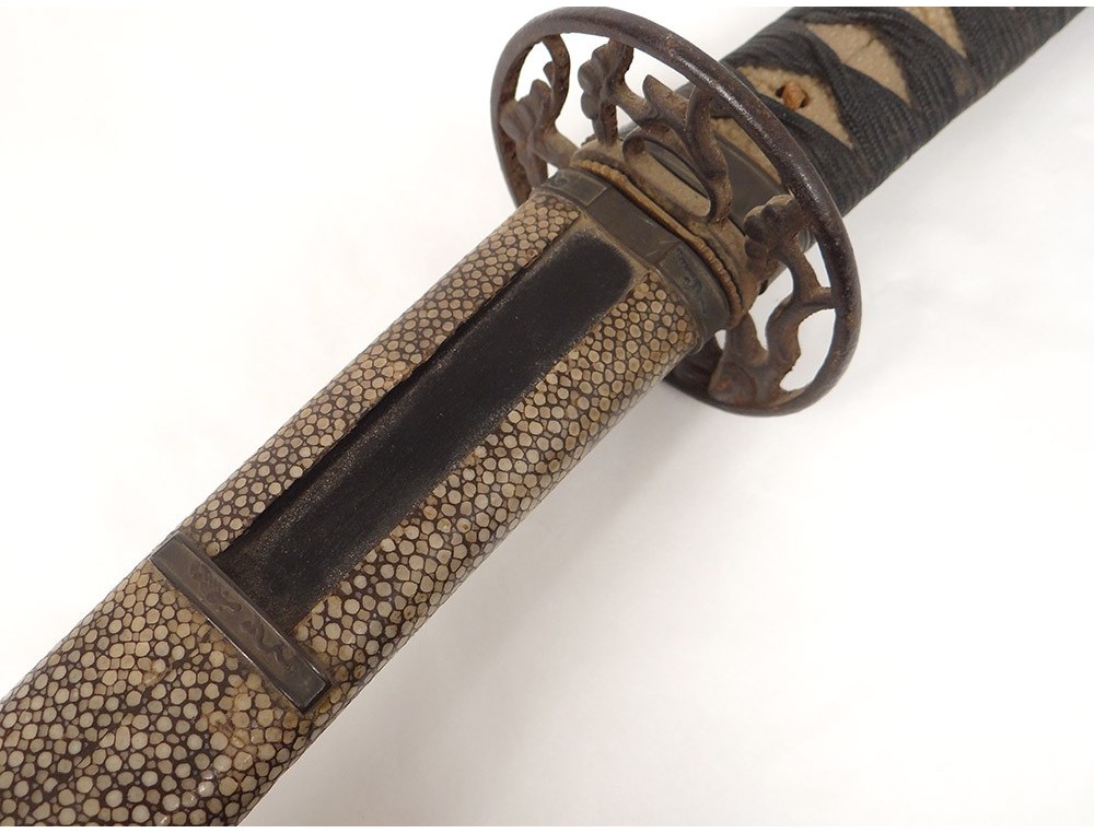 Wakizashi D'Entraînement Sabre Japonais En Polypropylène Résistant Avec Tsuba - 60 Cm Parfait Pour Arts Martiaux Et Cosplay