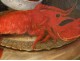 HST Painting Still Life with Lobster eighteenth boar Peacock